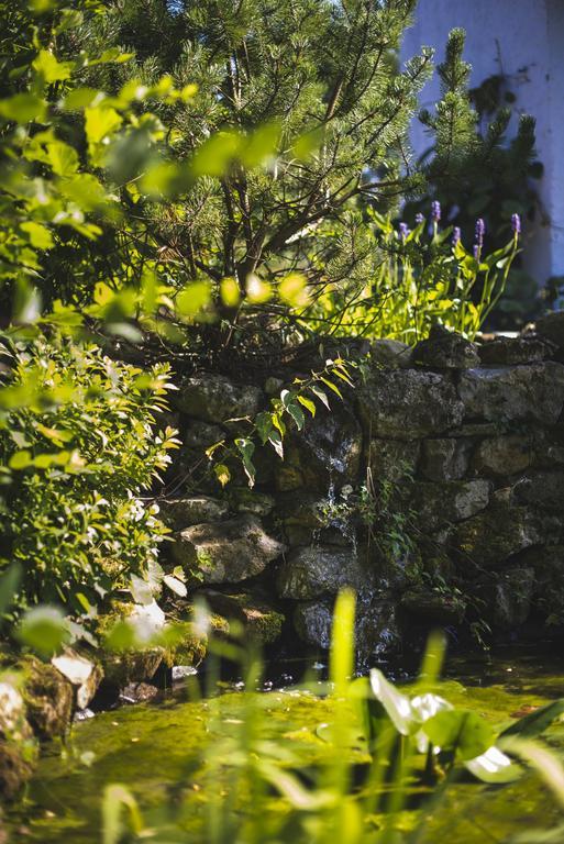 Bed and Breakfast Domaine de Terrac Rimont Exterior foto