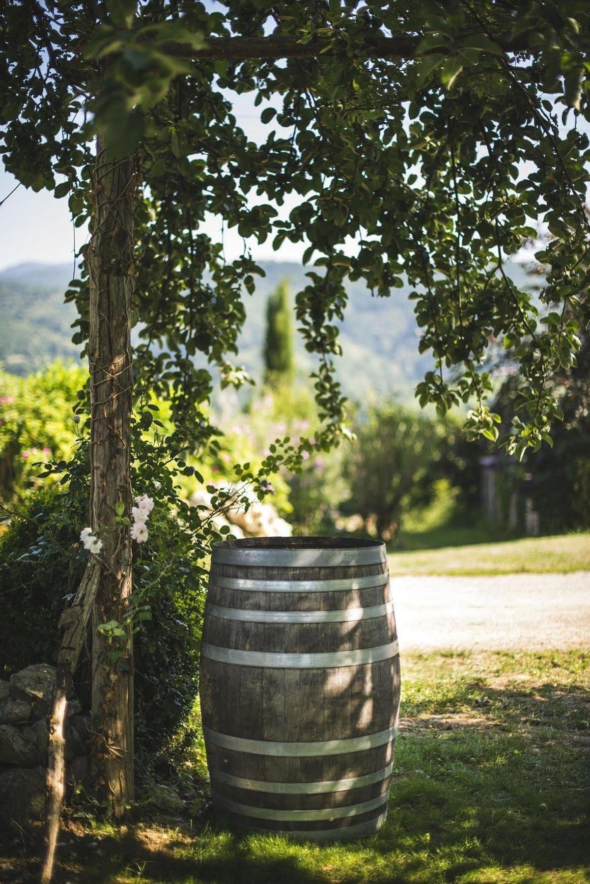 Bed and Breakfast Domaine de Terrac Rimont Exterior foto